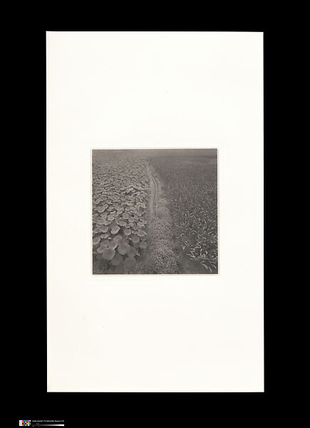 Odes, Taca Sui (Chinese, born 1984), 108 silver gelatin prints mounted in 9 albums, China