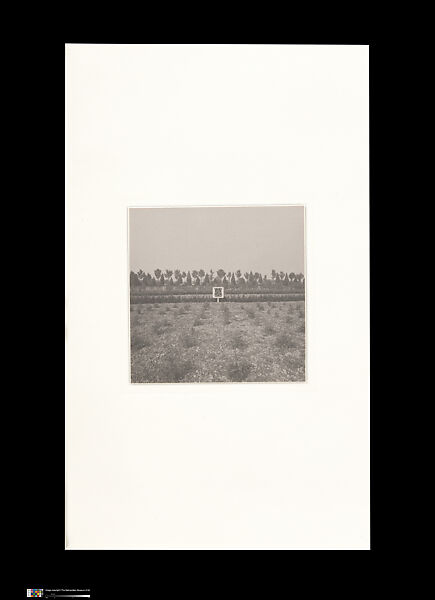 Odes, Taca Sui (Chinese, born 1984), 108 silver gelatin prints mounted in 9 albums, China