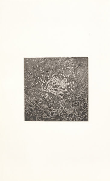 Odes, Taca Sui (Chinese, born 1984), 108 silver gelatin prints mounted in 9 albums, China