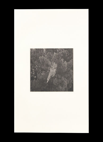 Odes, Taca Sui (Chinese, born 1984), 108 silver gelatin prints mounted in 9 albums, China