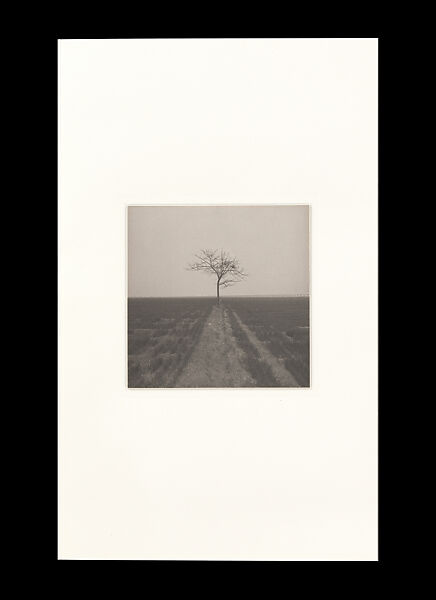 Odes, Taca Sui (Chinese, born 1984), 108 silver gelatin prints mounted in 9 albums, China