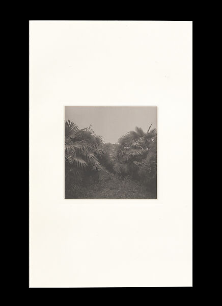 Odes, Taca Sui (Chinese, born 1984), 108 silver gelatin prints mounted in 9 albums, China