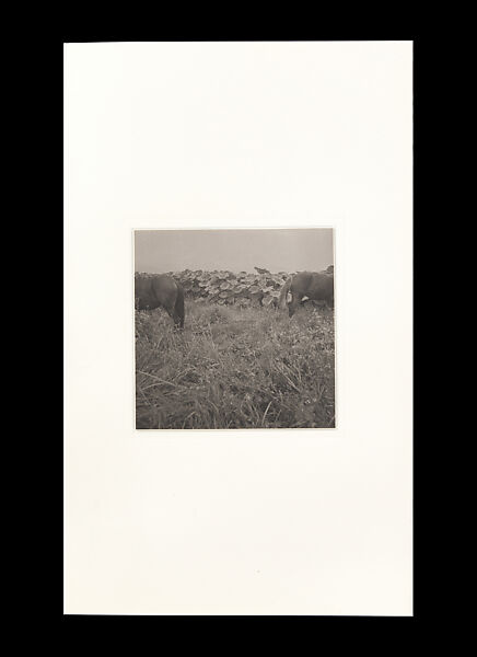 Odes, Taca Sui (Chinese, born 1984), 108 silver gelatin prints mounted in 9 albums, China