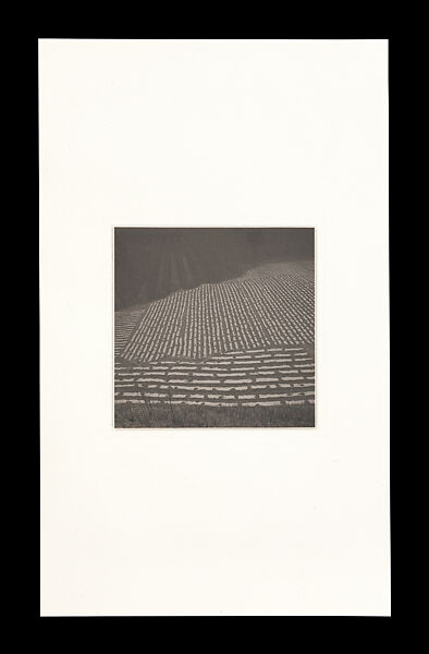 Odes, Taca Sui (Chinese, born 1984), 108 silver gelatin prints mounted in 9 albums, China