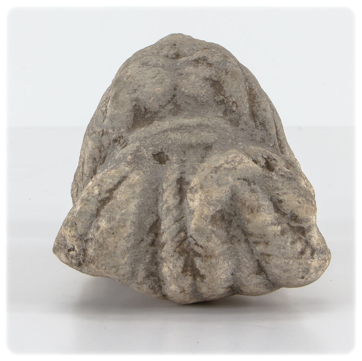 Head of Shiva, Stone, probably chlorite, Northern Pakistan (Brahmanical post-Gupta)
