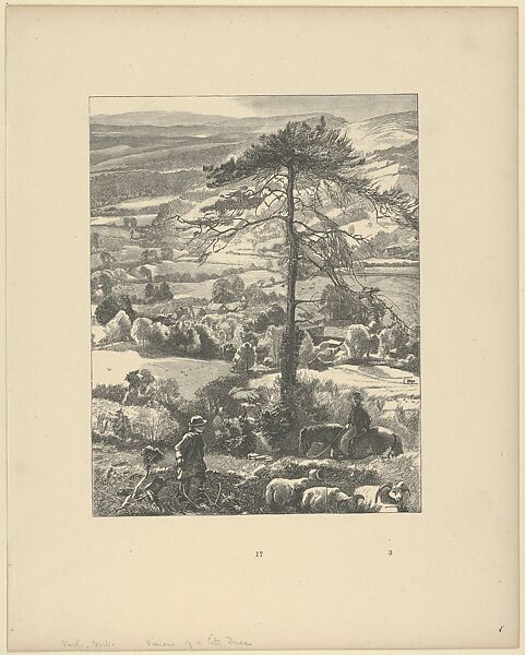 The Visions of a City Tree, from "Picture Poesies", After John William North (British, London 1842–1924 Stamborough, Somerset), Wood engraving 