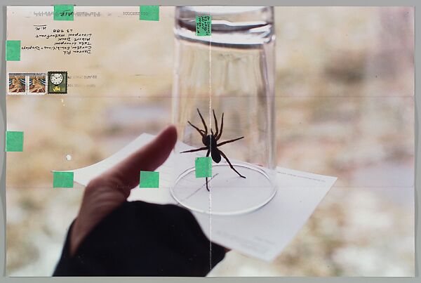 Kevin Ayers, Moyra Davey (American, born Toronto, 1958), Chromogenic prints