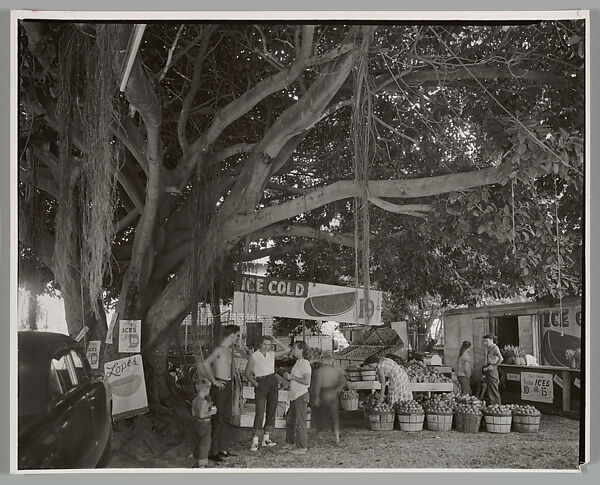 Fruit Market Under Banyan Tree, South Dixie Highway, Miami Florida, Berenice Abbott (American, Springfield, Ohio 1898–1991 Monson, Maine), Gelatin silver print 