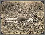 [Crime Scene Album], Compiled by Dr. Edward E. Smith (American), Gelatin silver prints