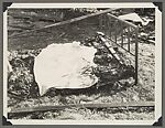 [Crime Scene Album], Compiled by Dr. Edward E. Smith (American), Gelatin silver prints