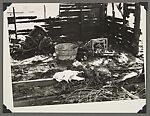 [Crime Scene Album], Compiled by Dr. Edward E. Smith (American), Gelatin silver prints
