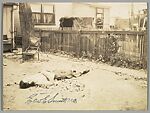 [Crime Scene Album], Compiled by Dr. Edward E. Smith (American), Gelatin silver prints