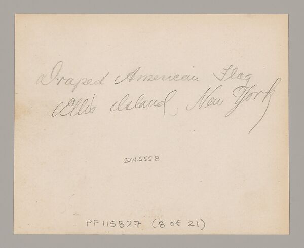 [American Flag, Ellis Island, New York], Augustus Frederick Sherman (American, Lynn, Pennsylvania 1865–1925 New York), Gelatin silver print