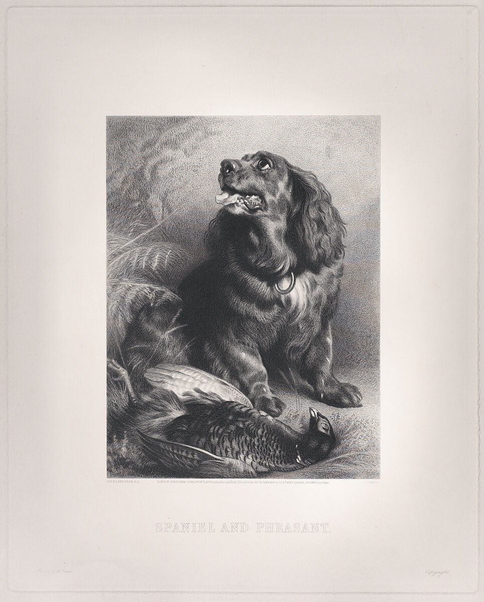 Spaniel and Pheasant, After Sir Edwin Henry Landseer (British, London 1802–1873 London), Mixed method engraving on chine collé 