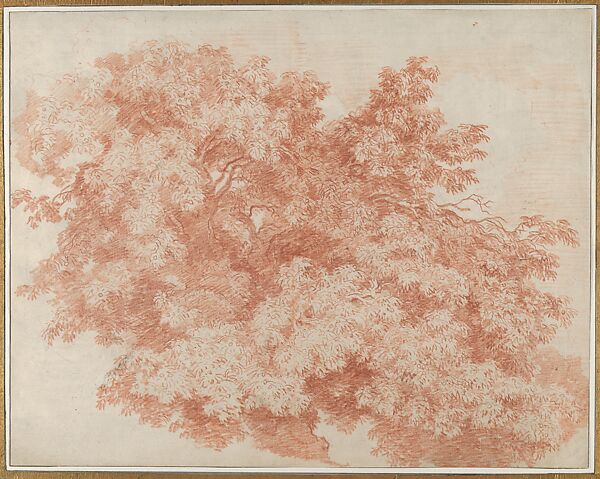 Foliage Study: Branches of a Chestnut Tree, Jean Honoré Fragonard (French, Grasse 1732–1806 Paris), Red chalk 