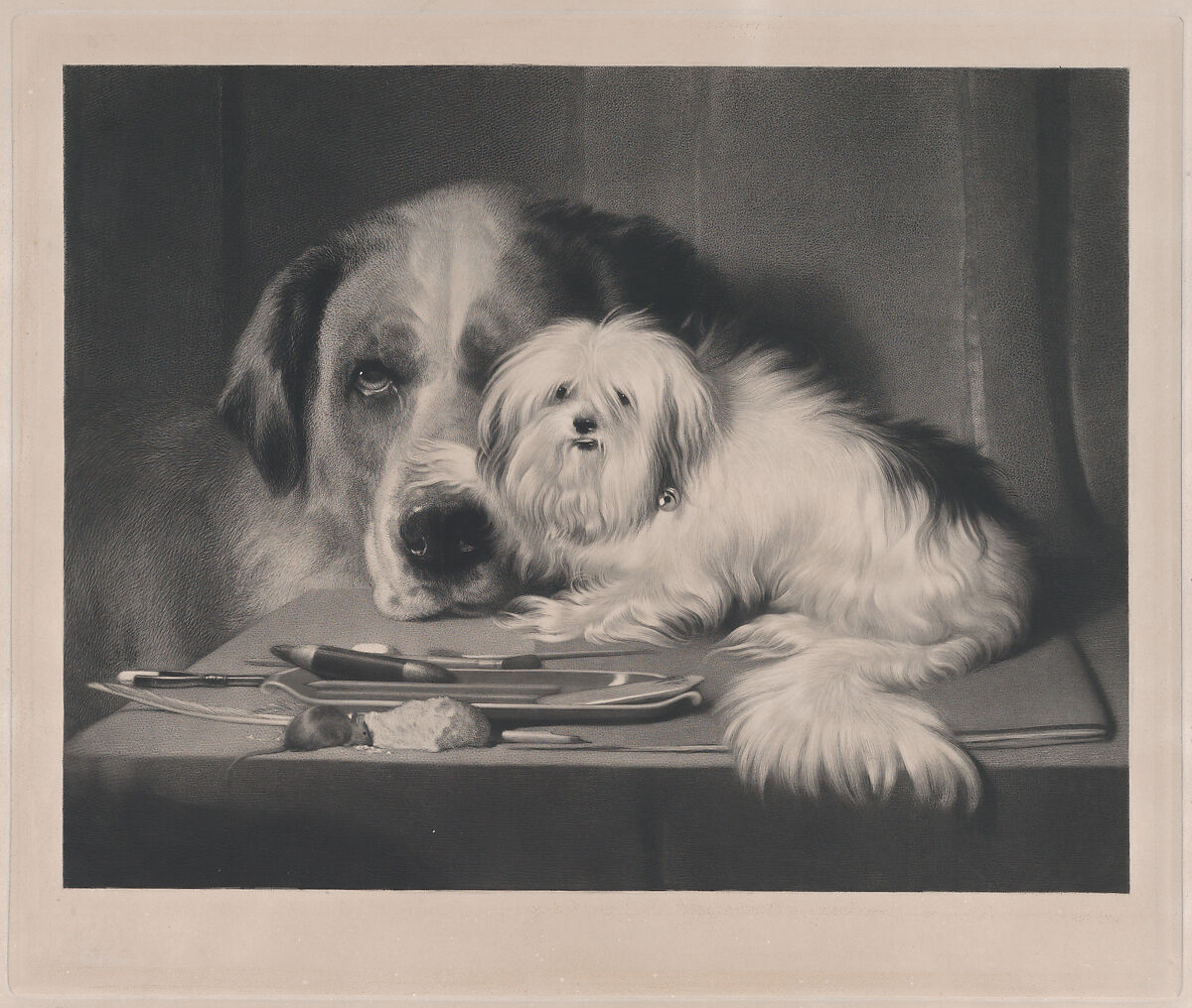 The Lion-Dog of Malta—The Last of His Tribe, After Sir Edwin Henry Landseer (British, London 1802–1873 London), Mixed method engraving on chine collé; proof before letters 