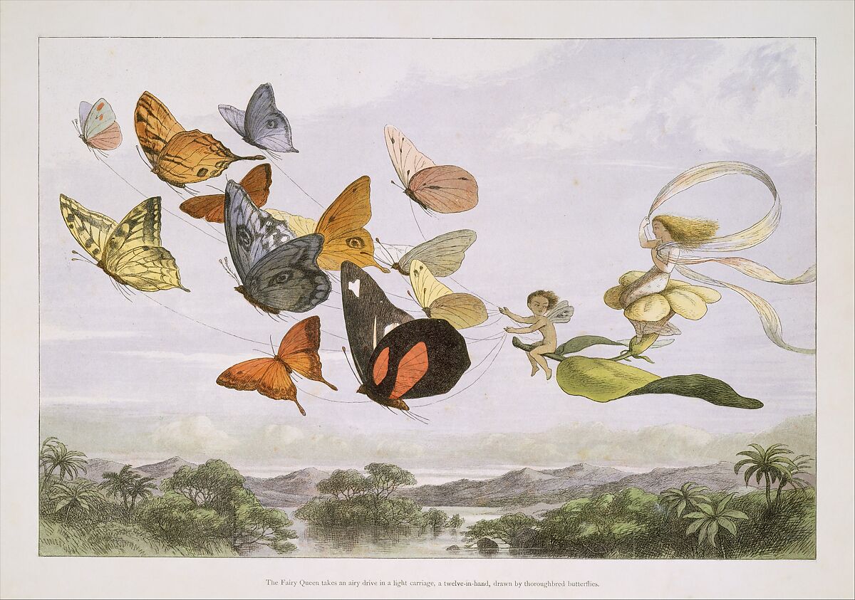 The Fairy Queen Takes an Airy Drive in a Light Carriage, a Twelve-in-hand, drawn by Thoroughbred Butterflies, After Richard Doyle (British, London 1824–1883 London), Color wood engraving and color lithograph 