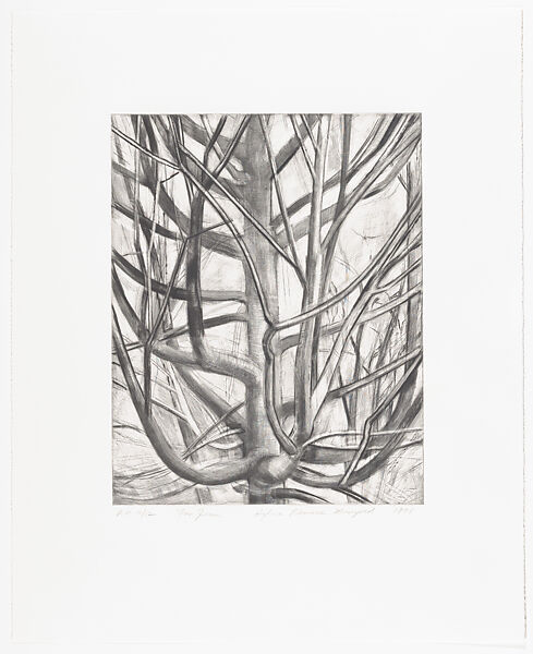 Maple Tree, Sylvia Plimack Mangold (American, born New York, 1938), Etching and drypoint 