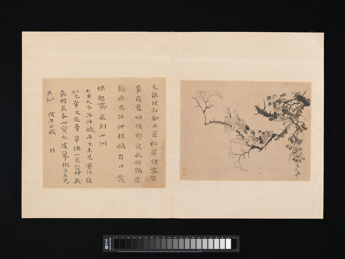 Album of painting and calligraphy for Maoshu, Various artists  , Chinese,17th century, Album of fourteen paintings and facing pages of calligraphy; ink and color on paper, China