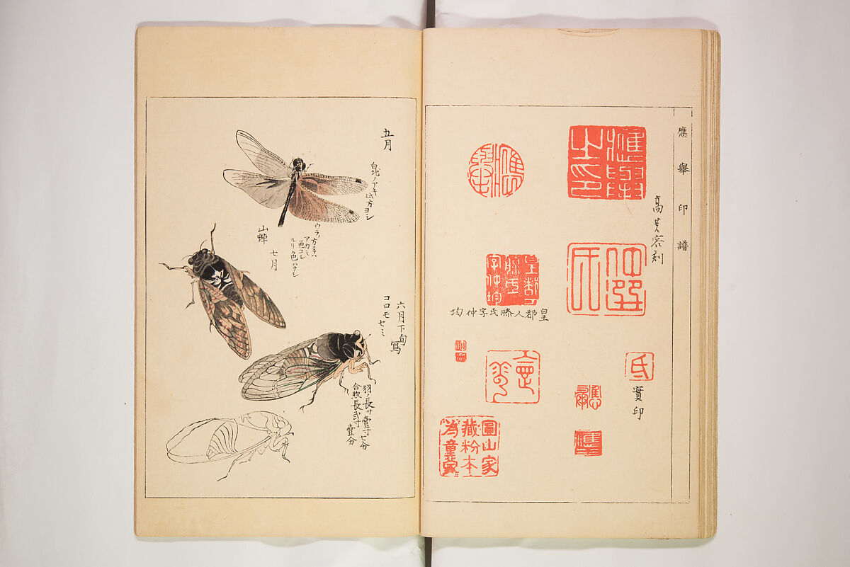 World of Fine Arts (Bijutsu Sekai) 美術世界, Set of twenty-five volumes, Japan