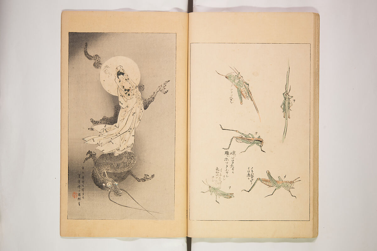 World of Fine Arts (Bijutsu Sekai) 美術世界, Set of twenty-five volumes, Japan