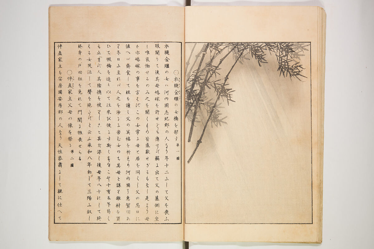 Illustrated Journal of Japanese History no. 1-10 (Nihon Rekishi Gaho) 日本歴史画報（にほんれきしがほう）, Matsumoto Fūko 松本楓湖 (Japanese, 1840–1923), Set of ten volumes, Japan