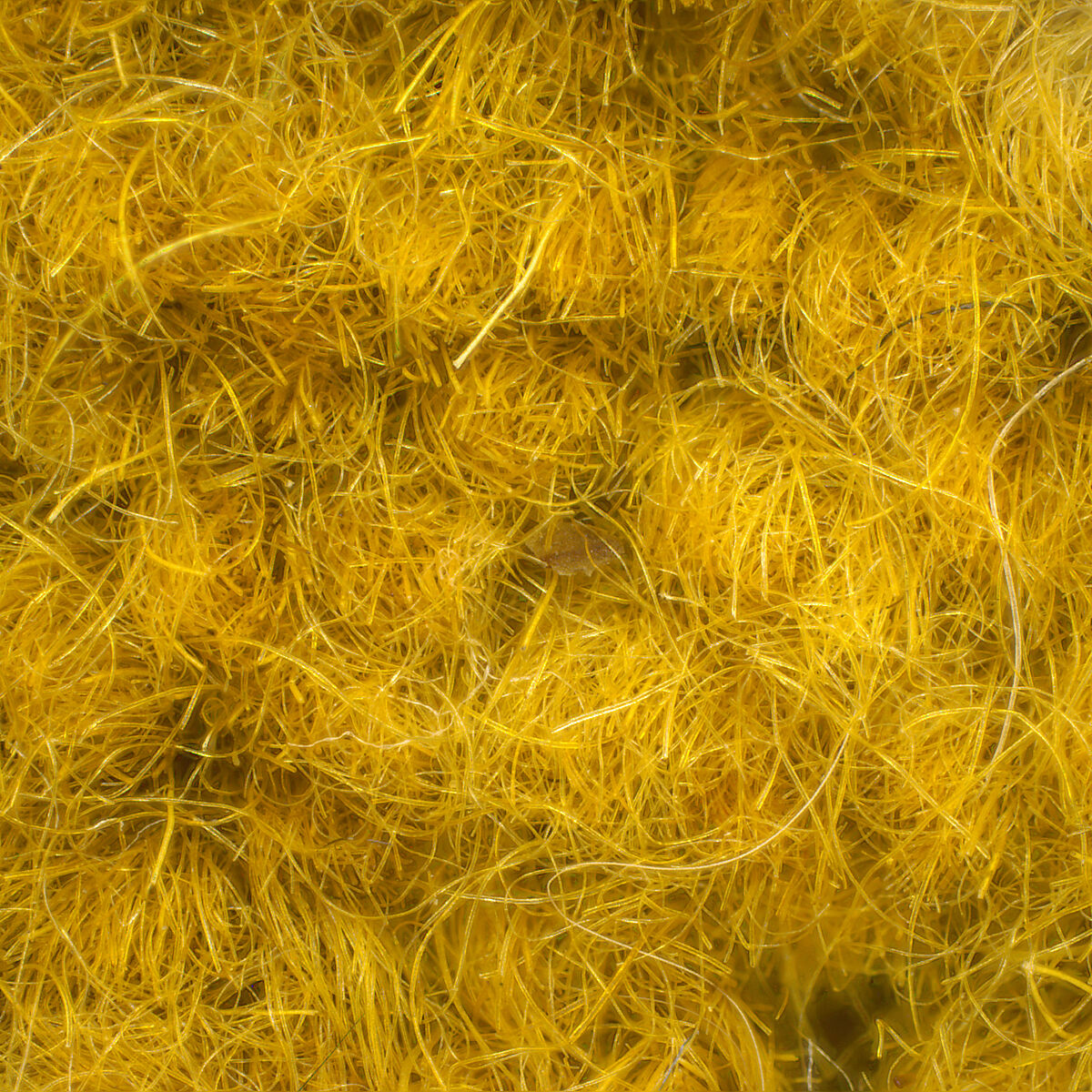 Helmet-Shaped Hat, Wool and cotton, Tibet