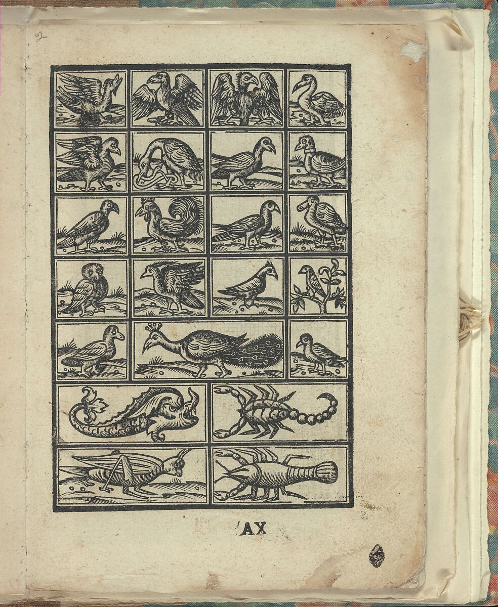 Opera Nova Universali intitulata Corona di racammi, page 21 (recto), Giovanni Andrea Vavassore (Italian, active Venice 1530–1573)  , Venice, Woodcut 