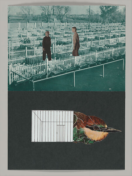 Untitled (Unlearning Instincts), Eva Koťátková (Czech, born Prague, 1982), 96 collages on paper