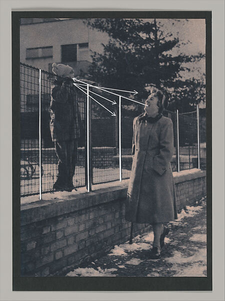 Untitled (Unlearning Instincts), Eva Koťátková (Czech, born Prague, 1982), 96 collages on paper