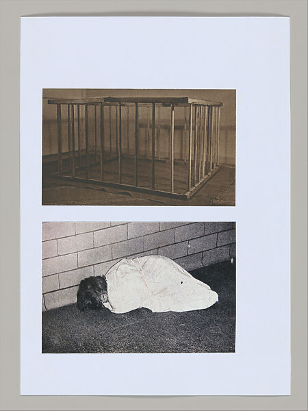 Untitled (Unlearning Instincts), Eva Koťátková (Czech, born Prague, 1982), 96 collages on paper