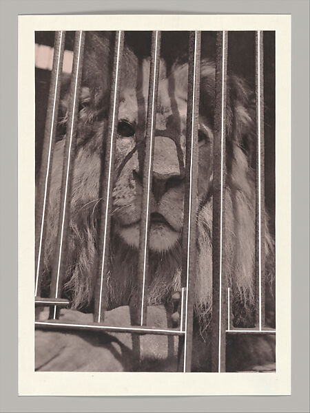 Untitled (Unlearning Instincts), Eva Koťátková (Czech, born Prague, 1982), 96 collages on paper