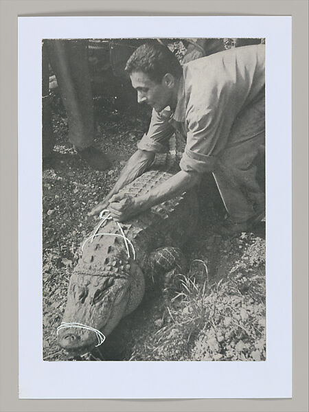 Untitled (Unlearning Instincts), Eva Koťátková (Czech, born Prague, 1982), 96 collages on paper