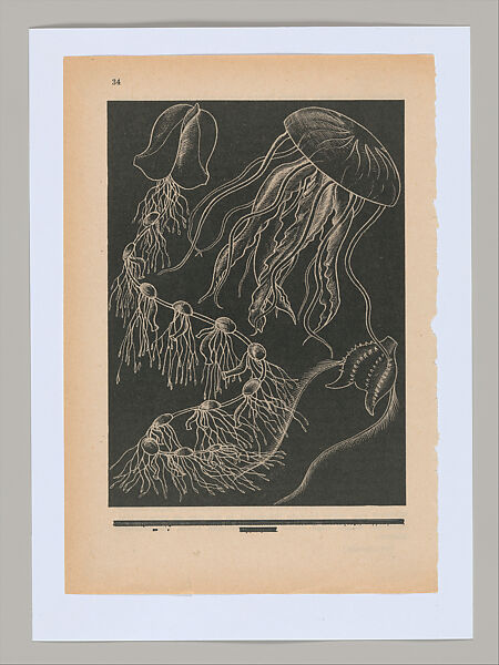 Untitled (Unlearning Instincts), Eva Koťátková (Czech, born Prague, 1982), 96 collages on paper