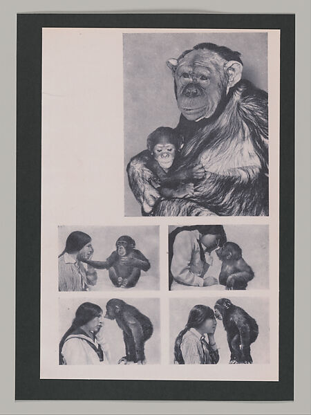 Untitled (Unlearning Instincts), Eva Koťátková (Czech, born Prague, 1982), 96 collages on paper