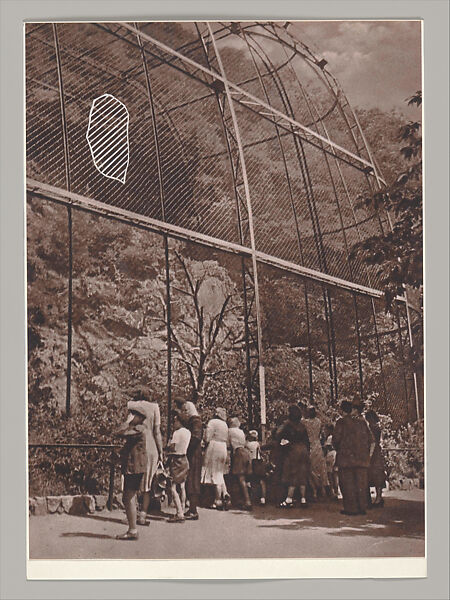 Untitled (Unlearning Instincts), Eva Koťátková (Czech, born Prague, 1982), 96 collages on paper