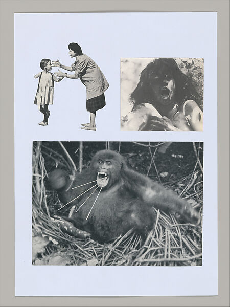 Untitled (Unlearning Instincts), Eva Koťátková (Czech, born Prague, 1982), 96 collages on paper