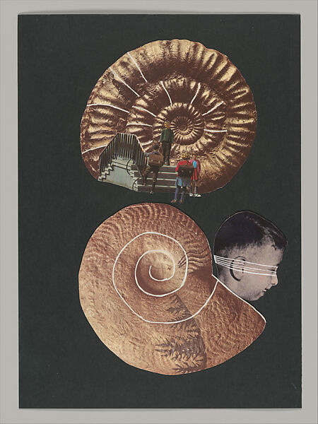 Untitled (Unlearning Instincts), Eva Koťátková (Czech, born Prague, 1982), 96 collages on paper