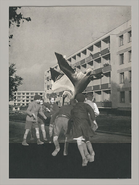 Untitled (Unlearning Instincts), Eva Koťátková (Czech, born Prague, 1982), 96 collages on paper