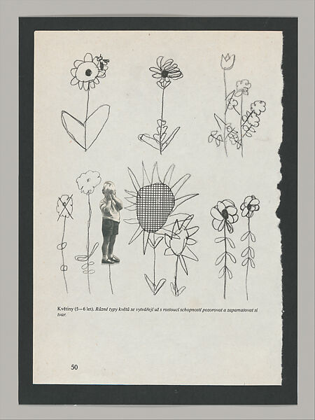 Untitled (Unlearning Instincts), Eva Koťátková (Czech, born Prague, 1982), 96 collages on paper