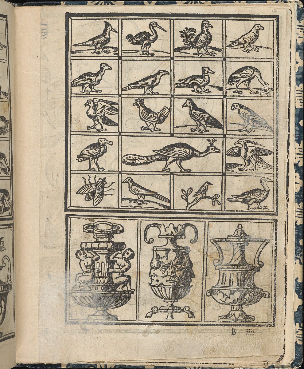 Essempio di recammi, page 12 (recto), Giovanni Antonio Tagliente (Italian, Venice ca. 1465–1528 Venice), Woodcut 