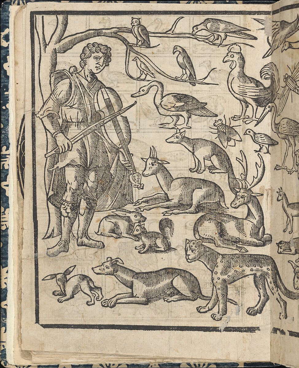 Essempio di recammi, page 12 (verso), Giovanni Antonio Tagliente (Italian, Venice ca. 1465–1528 Venice), Woodcut 