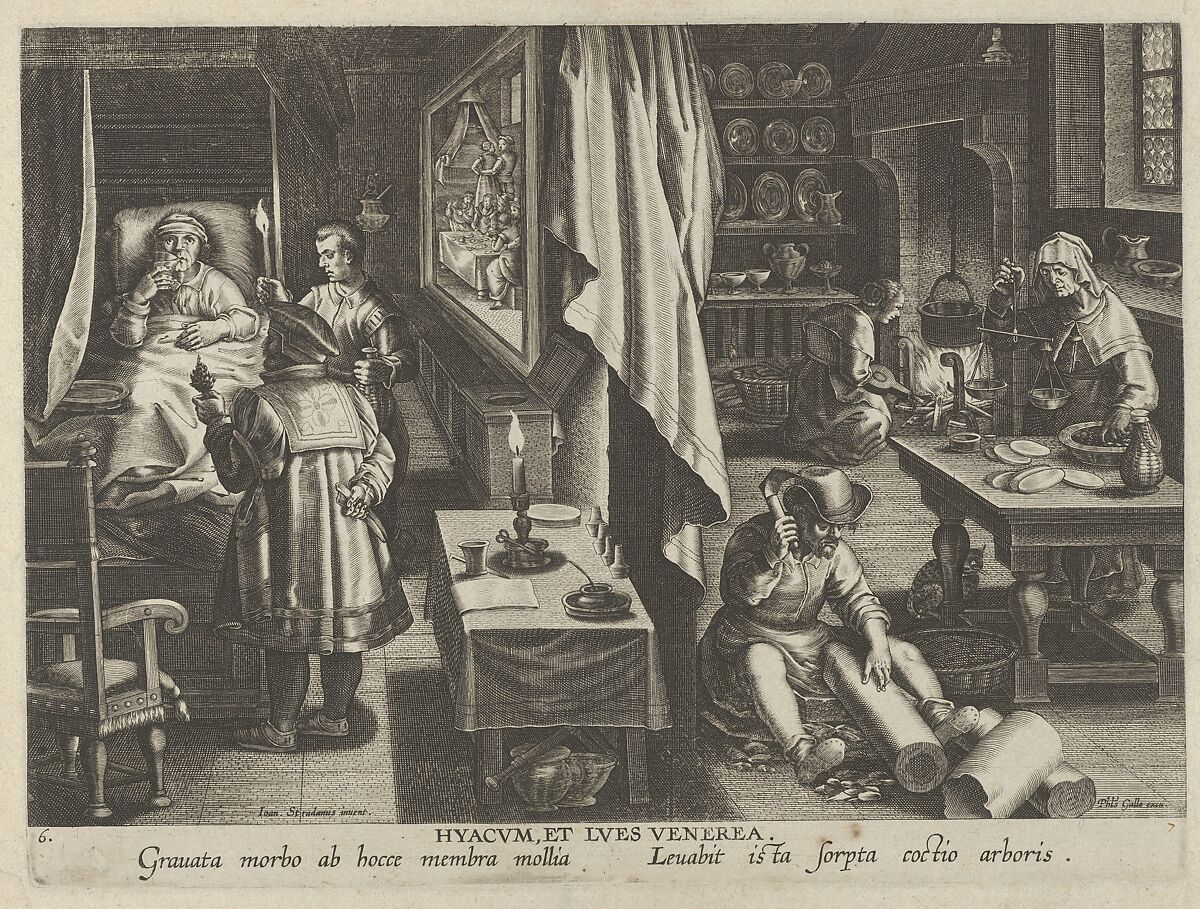 New Inventions of Modern Times [Nova Reperta], The Discovery of Guaicum as a Cure for Veneral Infection, plate 6, Jan Collaert I (Netherlandish, Antwerp ca. 1530–1581 Antwerp), Engraving 