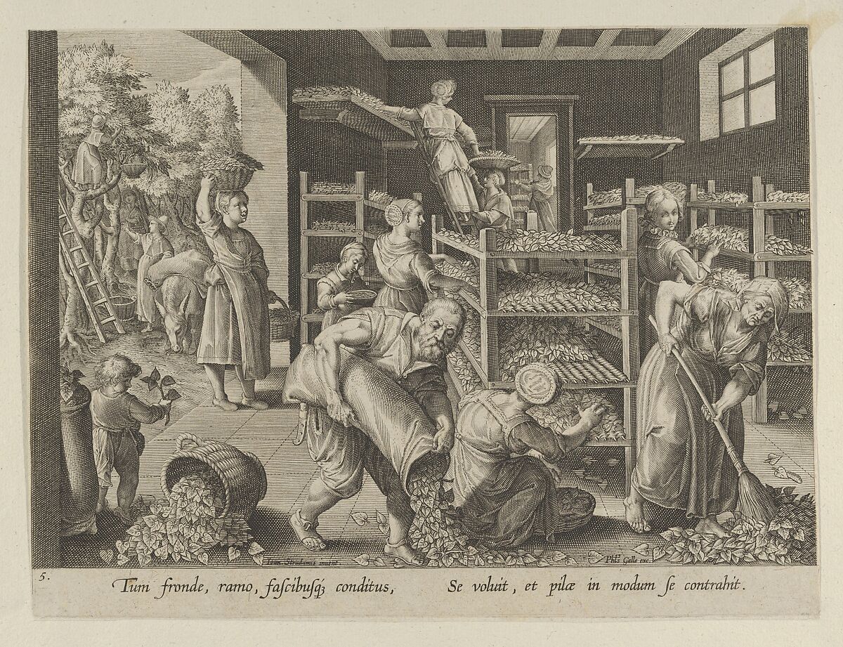 The Gathering of Mulberry Leaves and the Feeding of the Silkworms, Plate 5 from "The Introduction of the Silkworm" [Vermis Sericus], Karel van Mallery (Netherlandish, Antwerp, 1571– after 1635 Antwerp), Engraving 