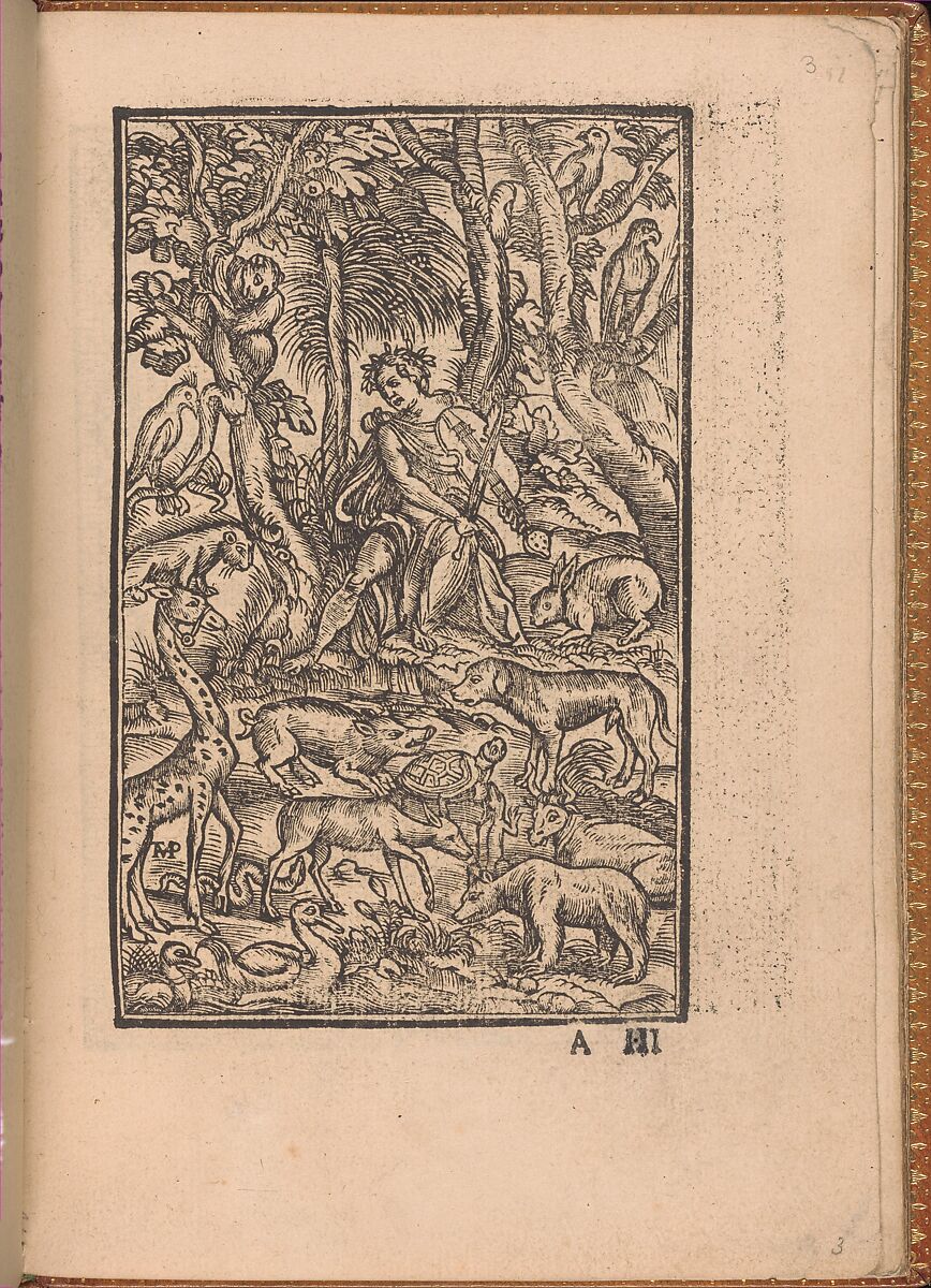 Convivio delle Belle Donne, page 3 (recto), Nicolò Zoppino (Italian, Ferrara 1478/80–1544 Venice)  , Venice, Woodcut 