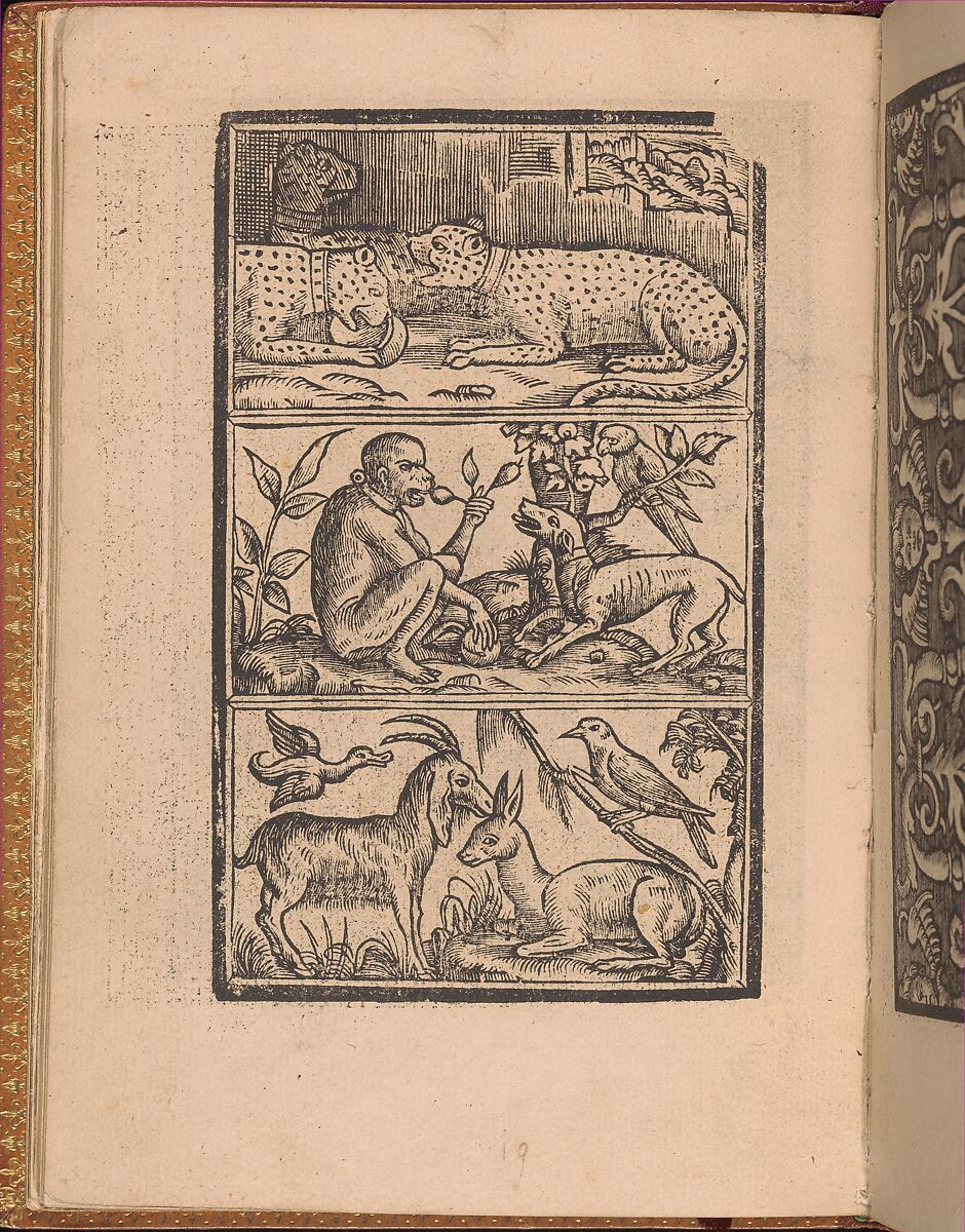Convivio delle Belle Donne, page 11 (verso), Nicolò Zoppino (Italian, Ferrara 1478/80–1544 Venice)  , Venice, Woodcut 
