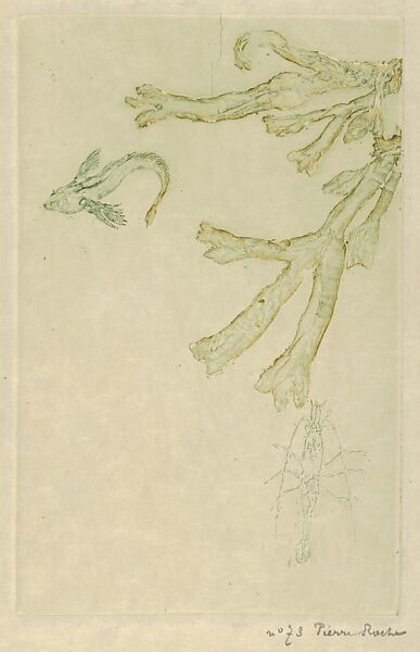 Sea Algae (Algues marines), Pierre Roche (pseudonym of Fernand Massignon) (1855–1922), Gypsograph in two colors 