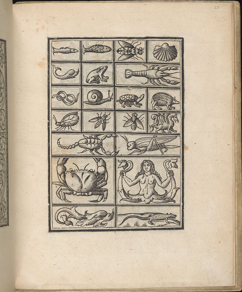 Trionfo Di Virtu. Libro Novo..., page 23 (verso), Matteo Pagano (Italian, 1515–1588)  , Venice, Woodcut 