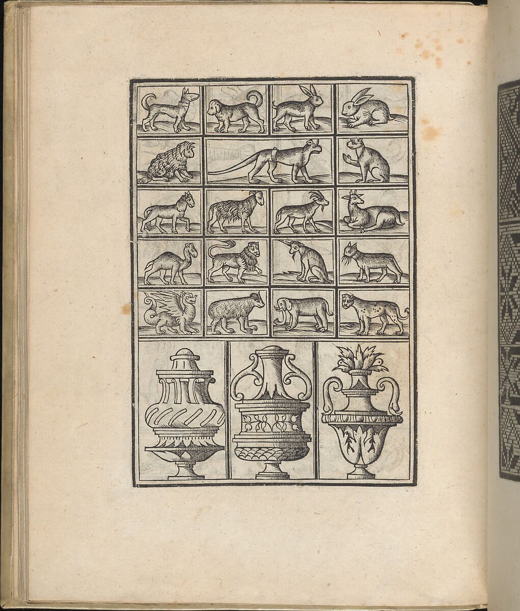 Trionfo Di Virtu. Libro Novo..., page 24 (recto), Matteo Pagano (Italian, 1515–1588)  , Venice, Woodcut 