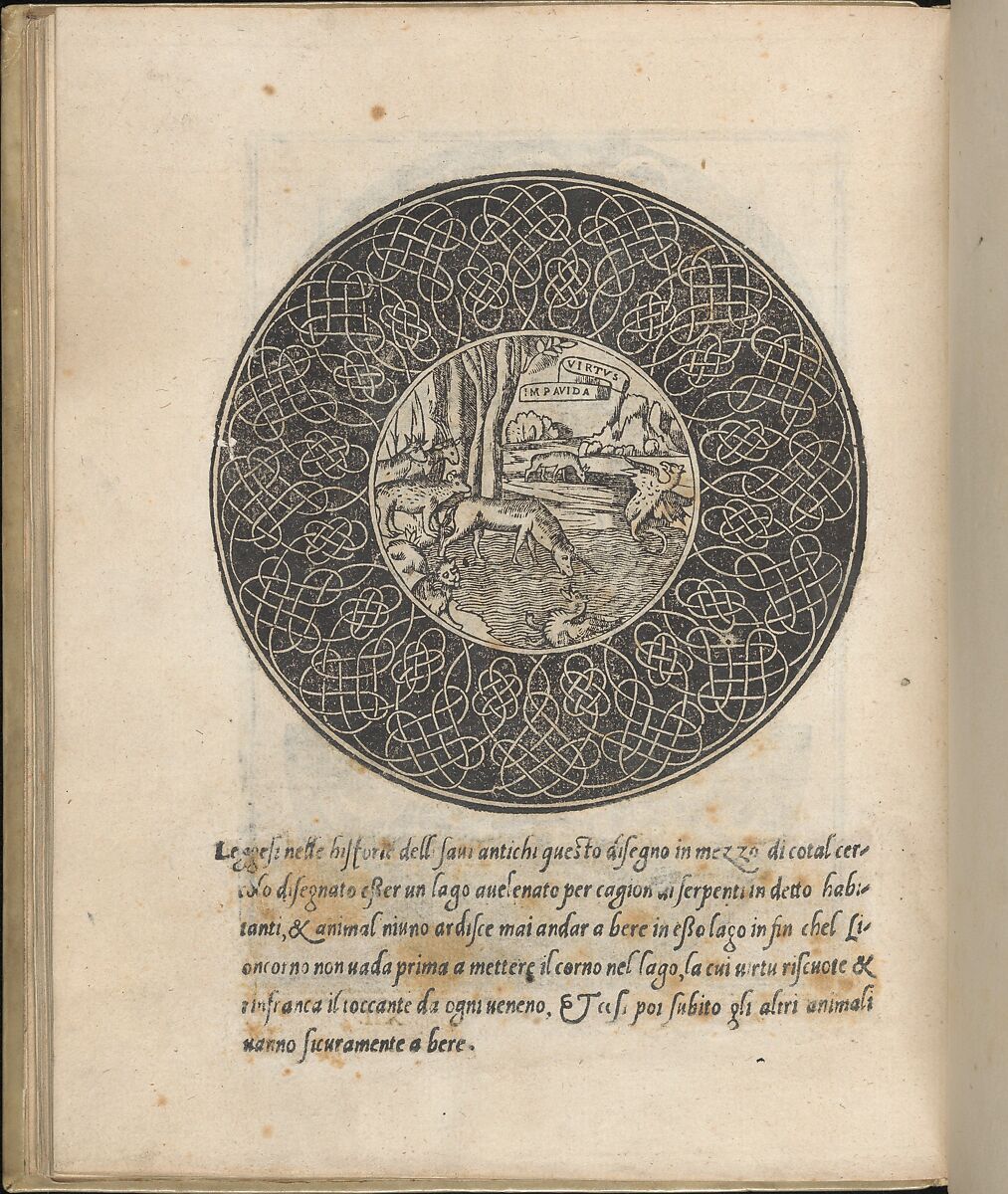 Trionfo Di Virtu. Libro Novo..., page 30 (recto), Matteo Pagano (Italian, 1515–1588)  , Venice, Woodcut 